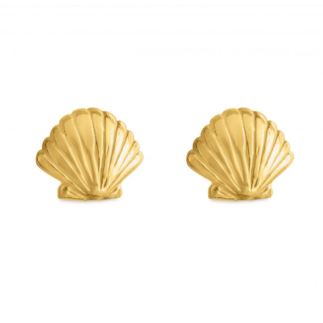 Gold plated earrings Cute Seashell