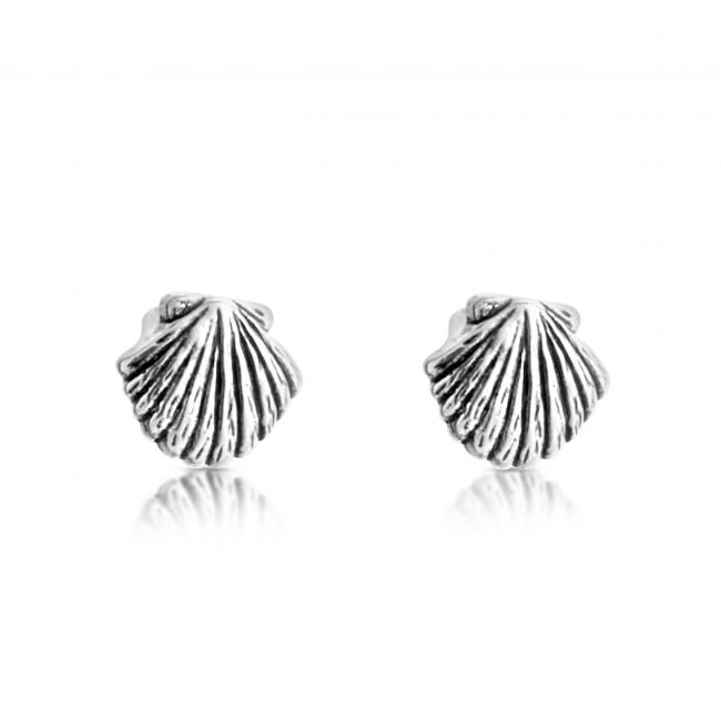 925 sterling silver earrings Sea Shell